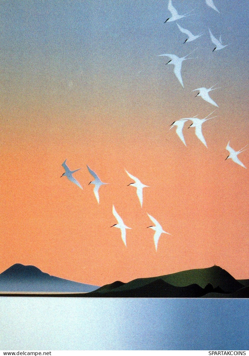 UCCELLO Animale Vintage Cartolina CPSM #PAN176.IT - Birds