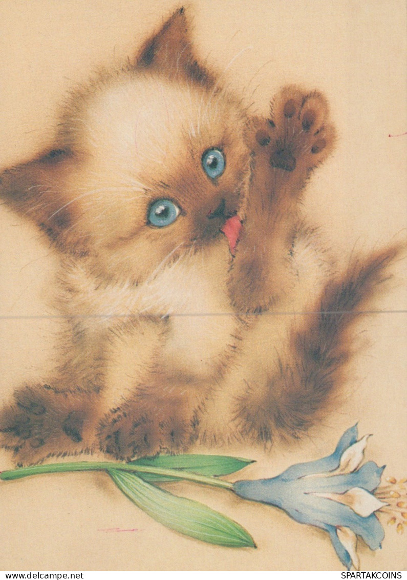 GATTO KITTY Animale Vintage Cartolina CPSM #PAM177.IT - Cats