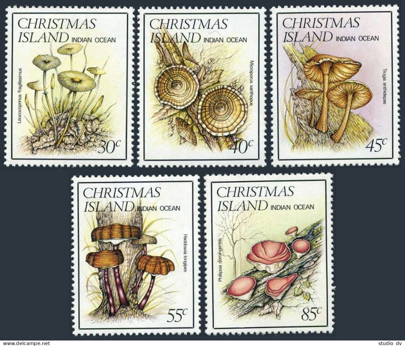 Christmas Isl 152-156, MNH. Michel 187-191. Mushrooms 1984. Local Fungi. - Christmaseiland
