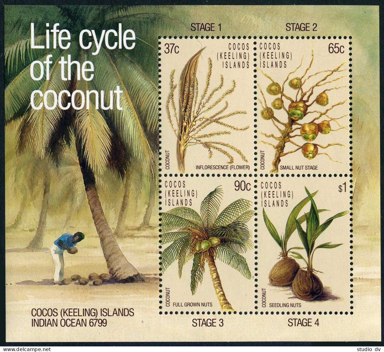 Cocos Isls 176a Sheet,MNH.Michel Bl.6. Life Cycle Of Coconut,1988.  - Kokosinseln (Keeling Islands)
