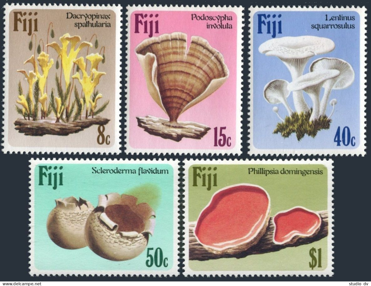 Fiji 500-504, MNH. Michel 494-498. Mushrooms-fungi, 1984. - Fidji (1970-...)