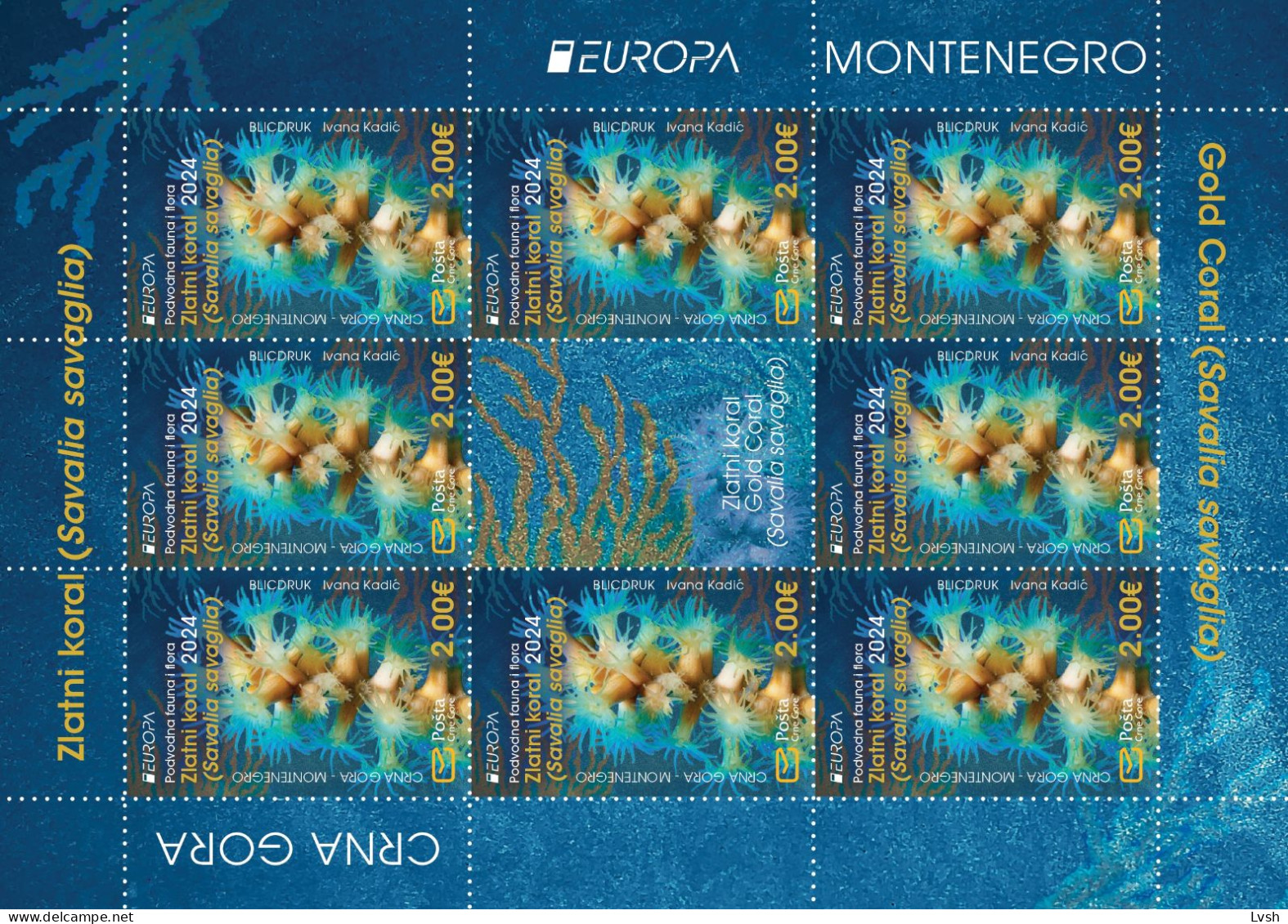 Montenegro.2024.Europa CEPT.Underwater Fauna And Flora.m/s ** . - 2024