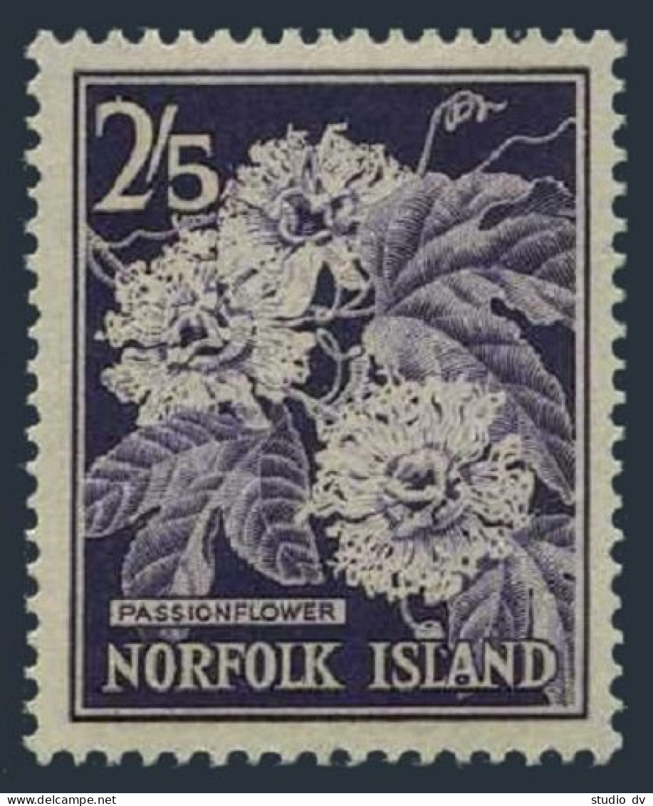 Norfolk 38, MNH. Michel 33. Passionflower, 1962. - Norfolkinsel