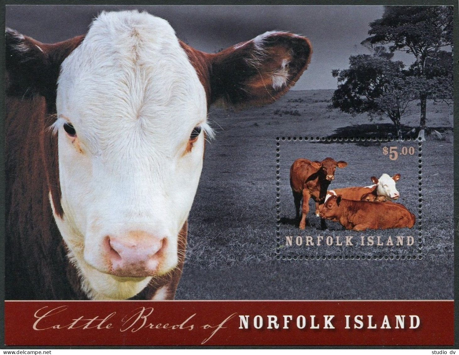 Norfolk 970-973,974 Sheet,MNH. Cattle Breeds,2009. - Norfolk Island
