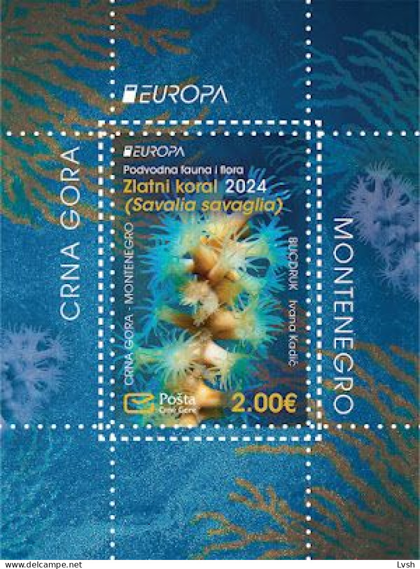 Montenegro.2024.Europa CEPT.Underwater Fauna And Flora.s/s ** . - 2024