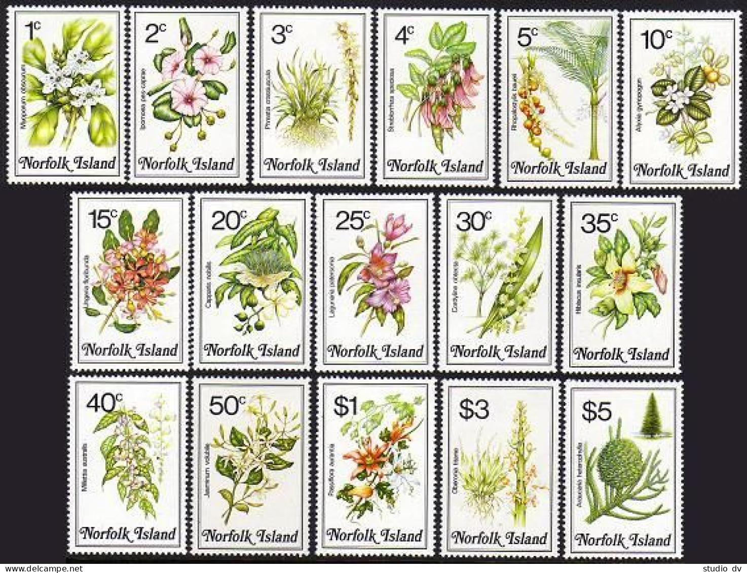 Norfolk 323-338, MNH. Michel 319-334. Local Flowers 1984. - Isola Norfolk