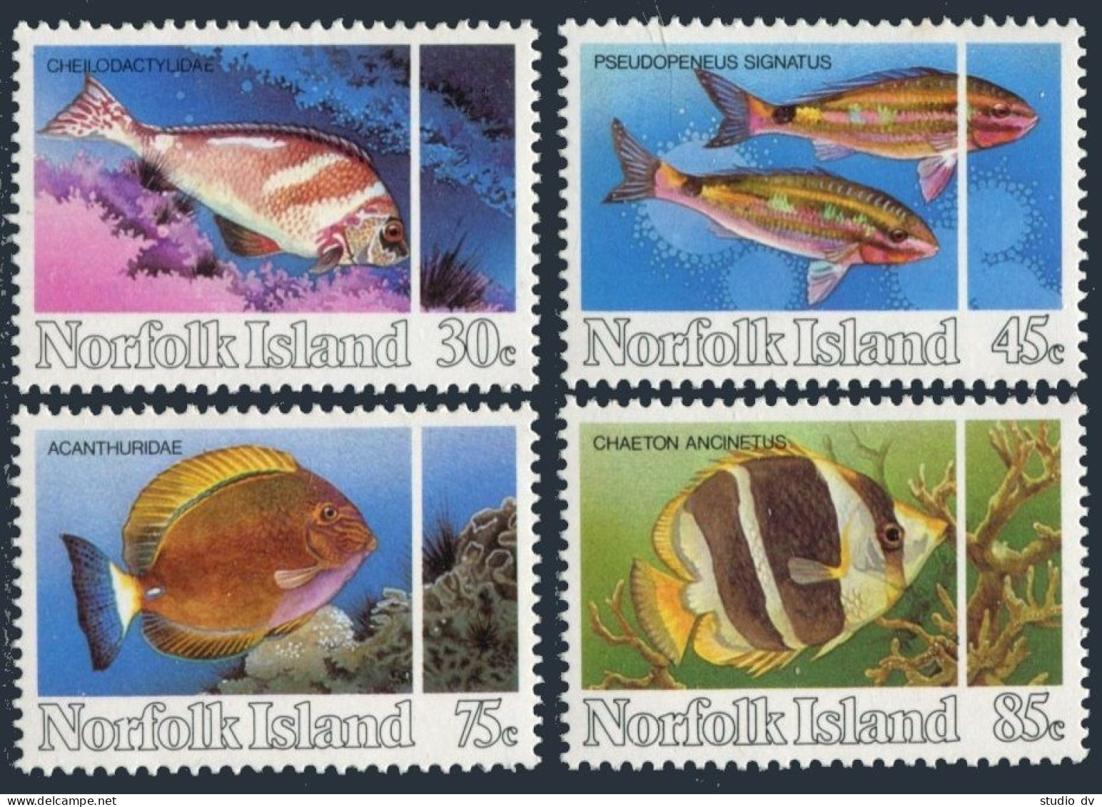 Norfolk 339-342, MNH. Michel 335-338. Reef Fish 1984. - Isola Norfolk