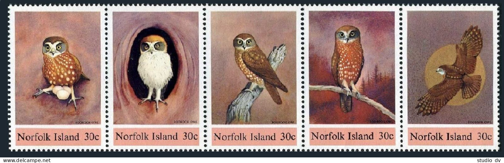 Norfolk 343 Ae Strip, MNH. Michel 339-343. Birds 1984. Boo Book Owl. - Norfolkinsel