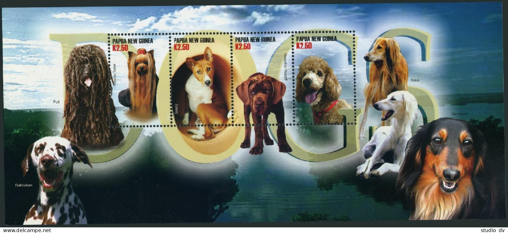 Papua New Guinea 1200 Ad Sheet,1201,MNH. Dogs 2005.Basenji,Poodle,Boston Terrier - Papua-Neuguinea