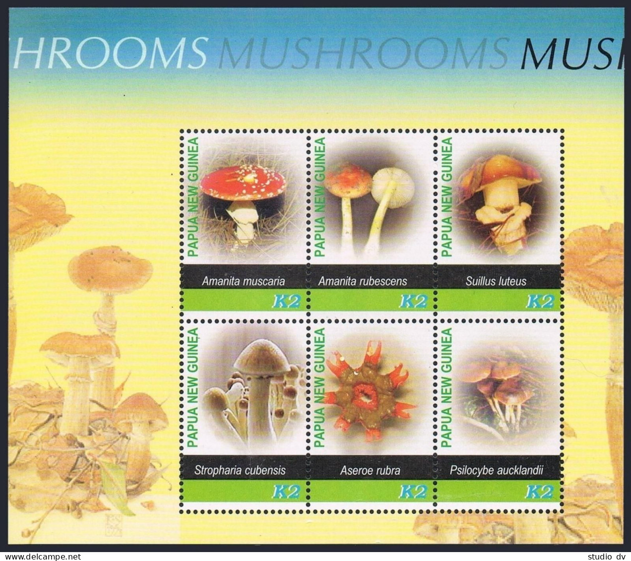 Papua New Guinea 1180 Af,1181 Sheets,MNH. Mushrooms,2005. - Papouasie-Nouvelle-Guinée