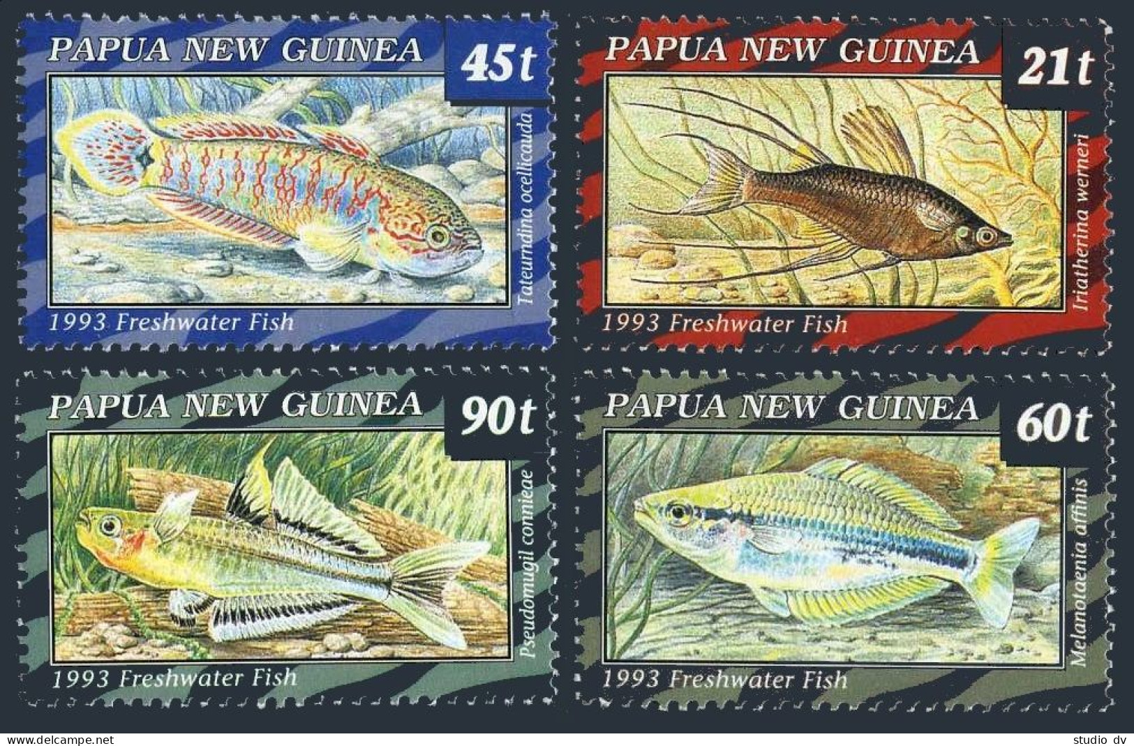 Papua New Guinea 810-813, MNH. Michel 689-692. Freshwater Fish, 1993.  - Papua New Guinea