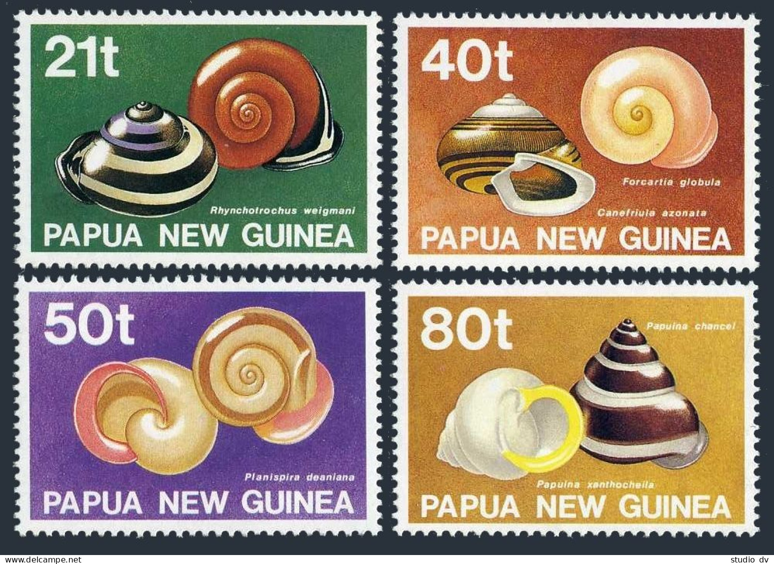 Papua New Guinea 750-753, MNH. Michel 631-634. Shells 1991. - Papua-Neuguinea