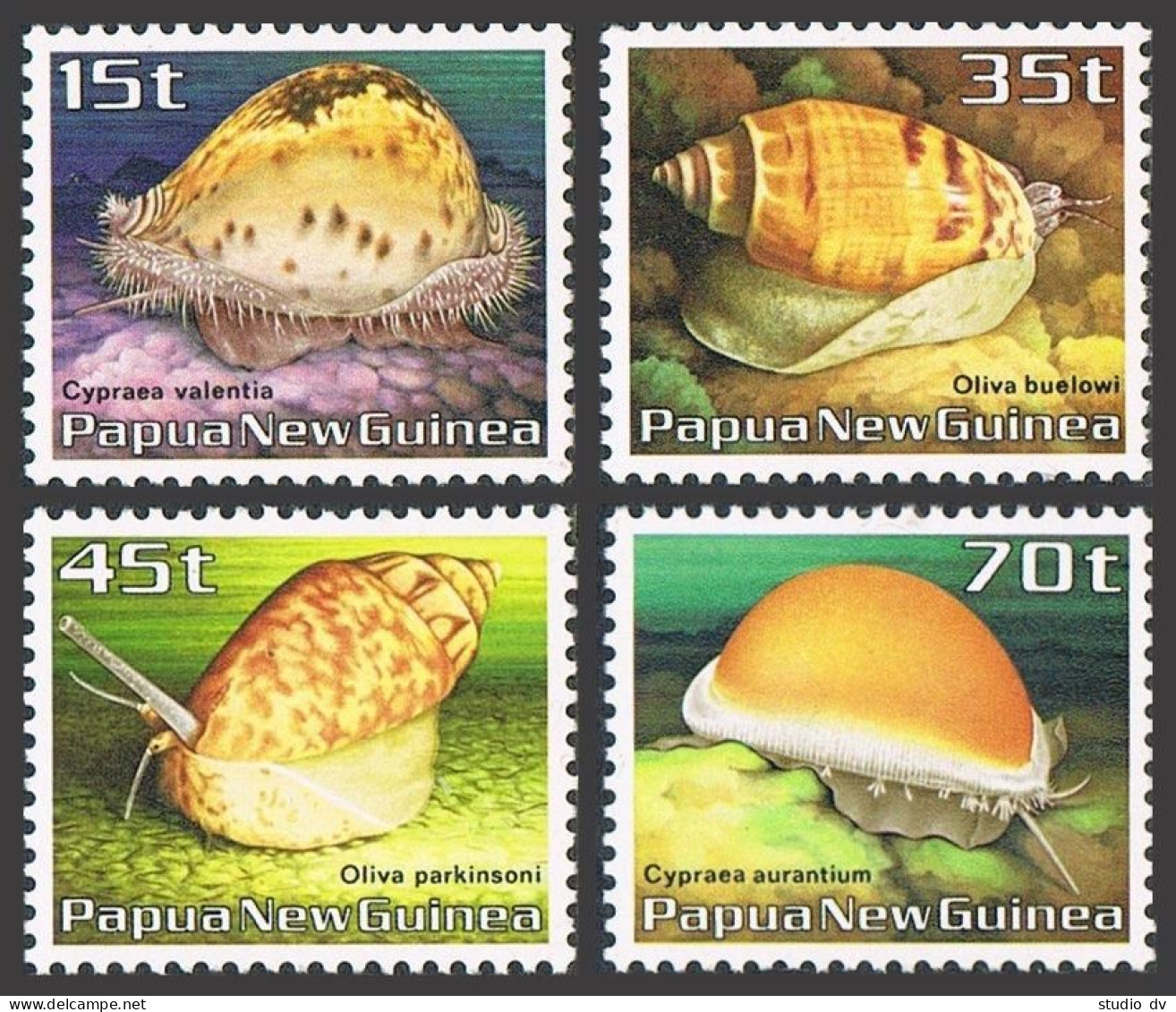 Papua New Guinea 636-639, MNH. Michel 516-519. Conch Shells 1986. - Papua-Neuguinea