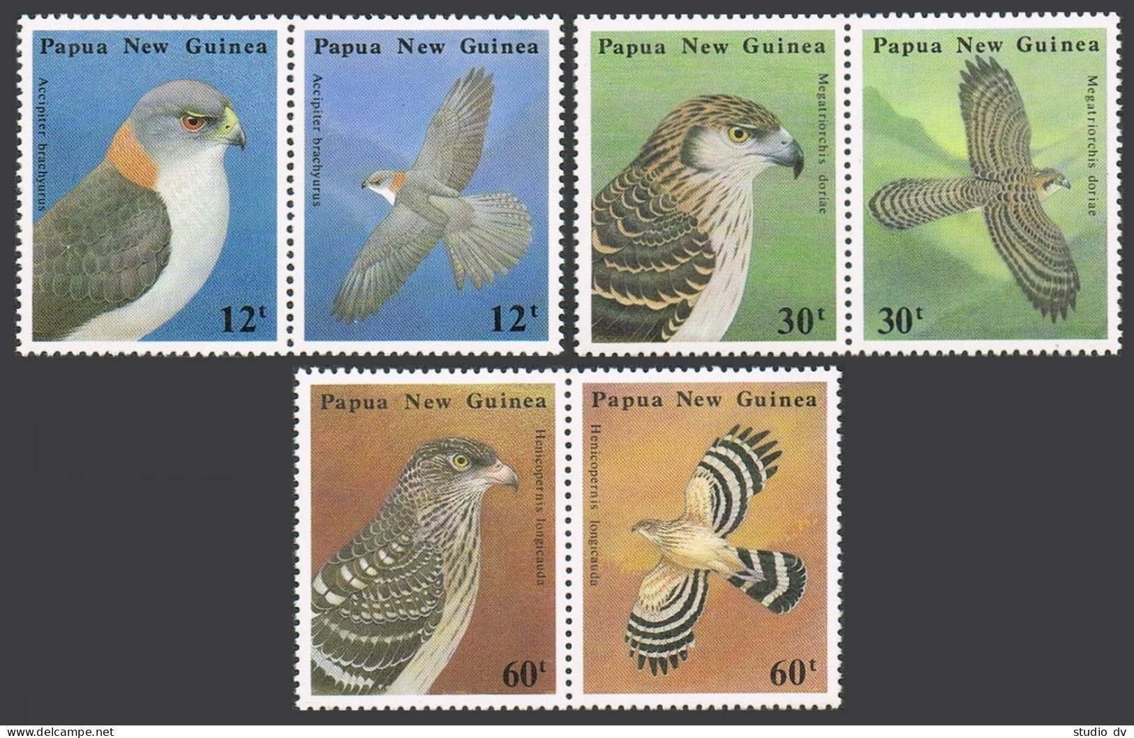Papua New Guinea 620-625a, MNH. Michel 497-502. Indigenous Birds Of Prey, 1985. - Papua New Guinea