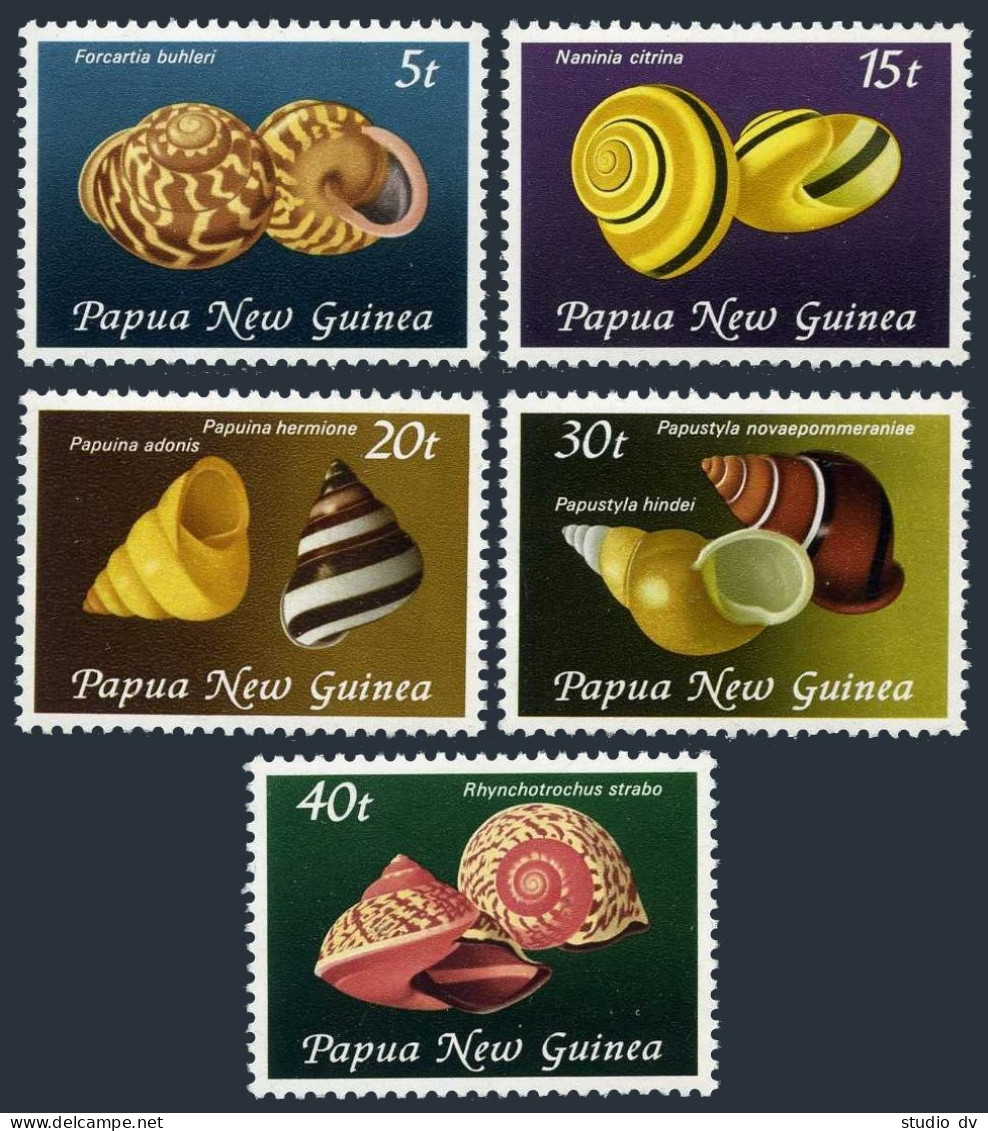 Papua New Guinea 549-553, MNH. Michel 422-426. Shells 1981. - Papouasie-Nouvelle-Guinée