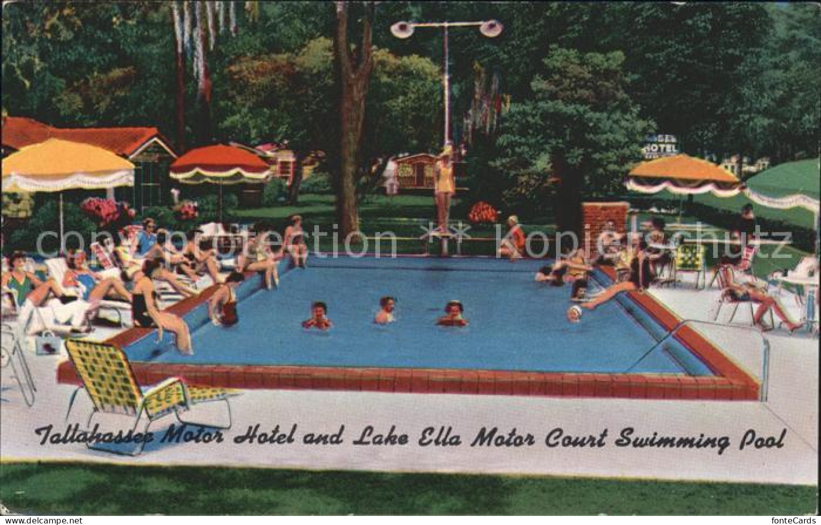 72060394 Tallahassee Motor Hotel And Lake Ella Motor Court Swimming Pool - Autres & Non Classés