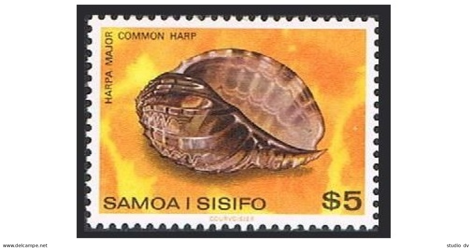 Samoa 494A, MNH. Michel 436. Cowrie Shell Common Harp, 1980. - Samoa