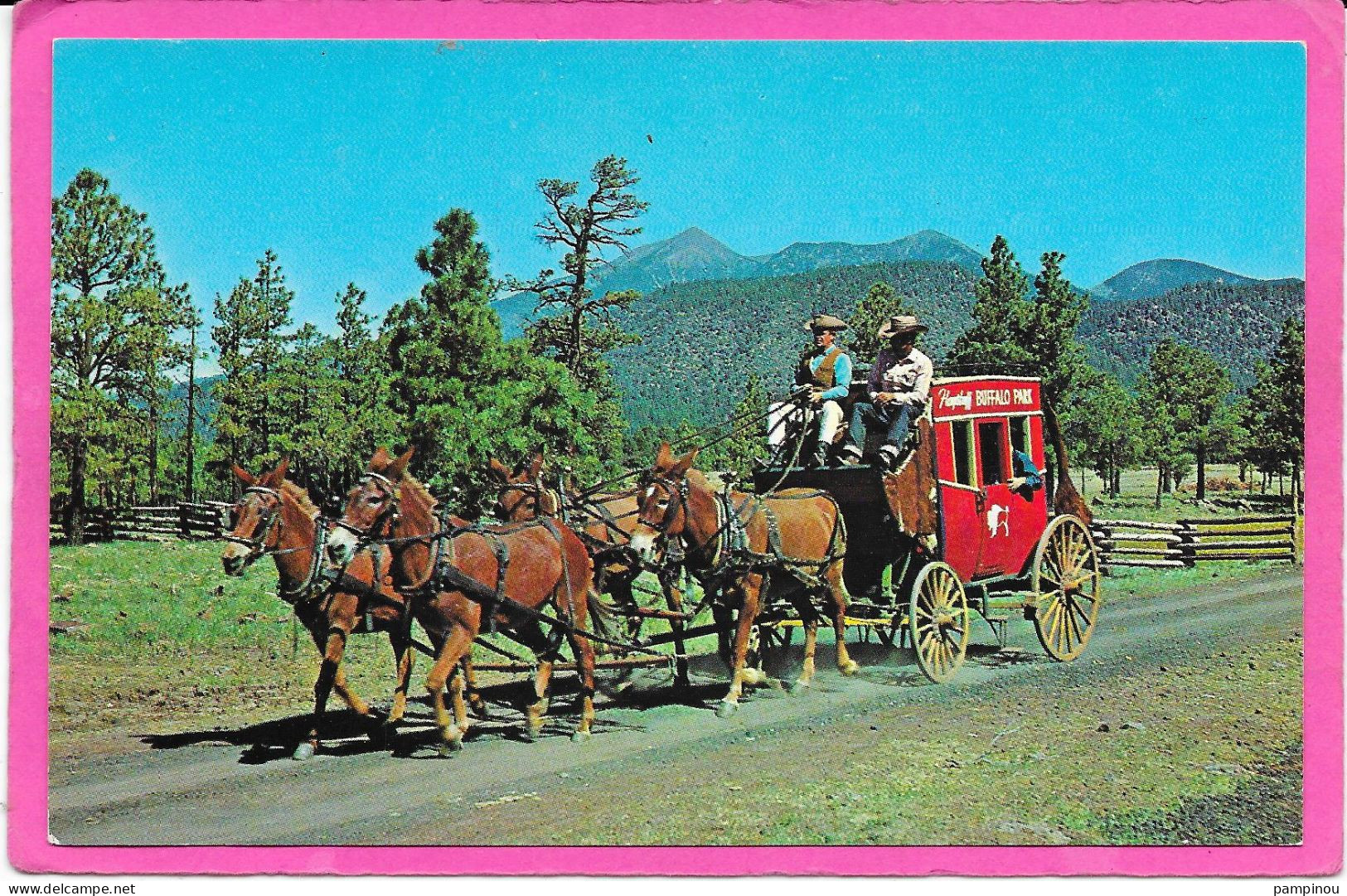 INDIENS - Buffalo Park, Arizona - Stagecoach Ride - Native Americans