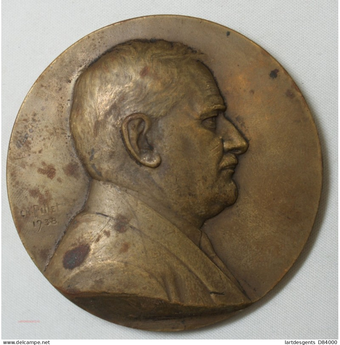 Médaille E.FIANCETTE SENATEUR 1913-38, Par CH. PILLET - Professionals / Firms