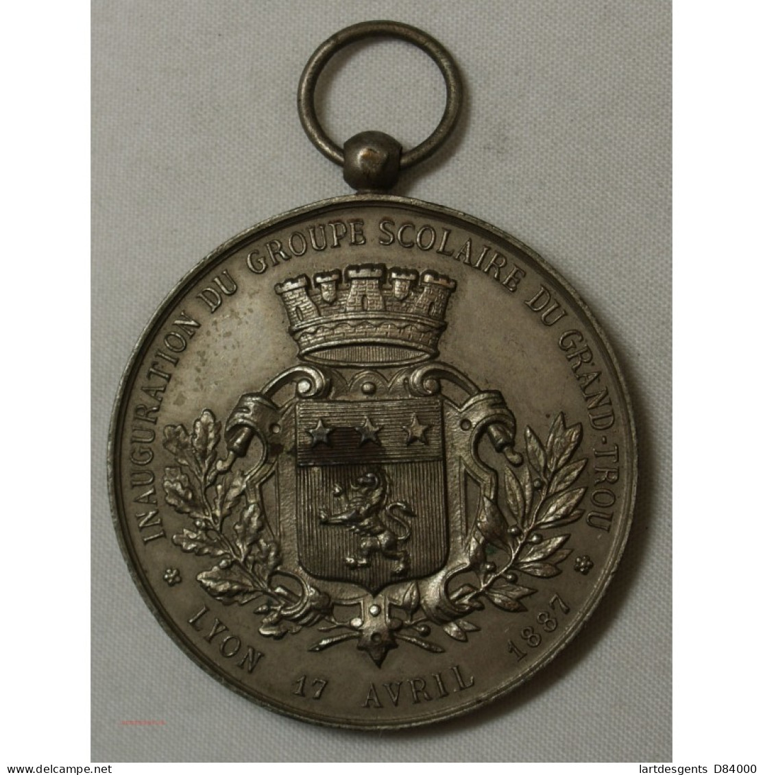 Médaille Groupe Scolaire Du Grand-Trou (LYON) 1887 - Professionnels / De Société