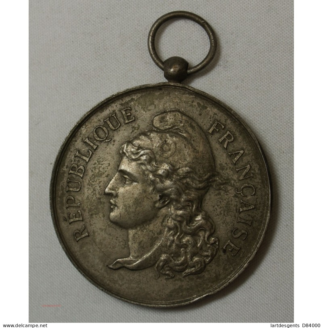 Médaille Groupe Scolaire Du Grand-Trou (LYON) 1887 - Professionali / Di Società