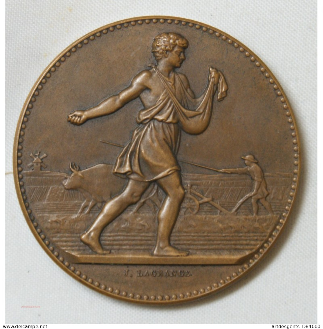 Médaille Agriculture D' Alais Et Cevennes Par Lagrange - Professionals / Firms