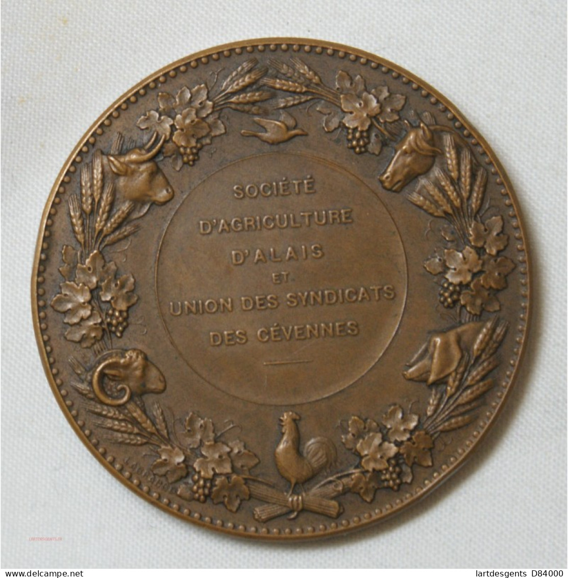 Médaille Agriculture D' Alais Et Cevennes Par Lagrange - Professionals / Firms