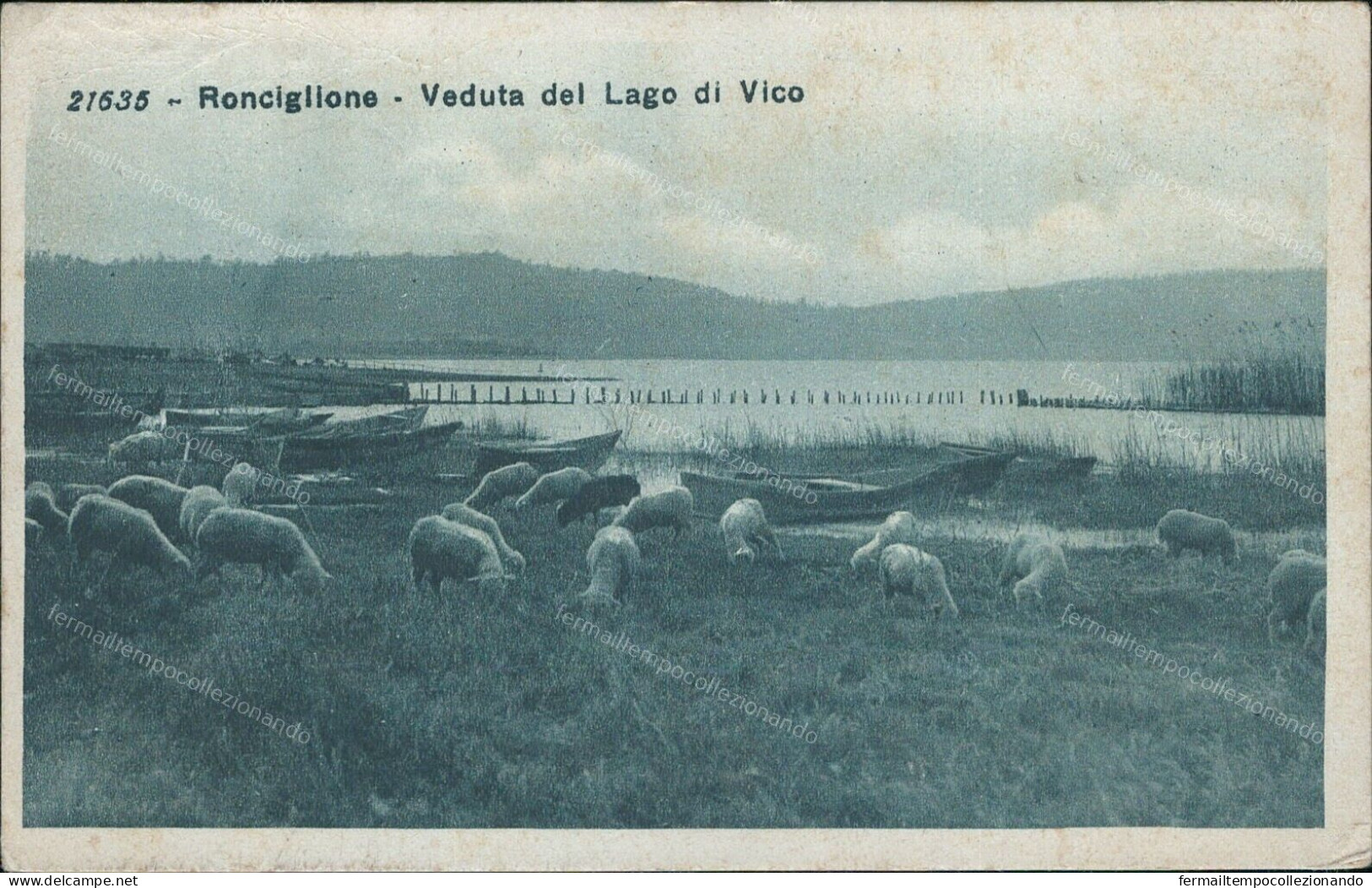 Cs456 Cartolina Ronciglione Veduta Del Lago Di Vico Provincia Di Viterbo - Viterbo