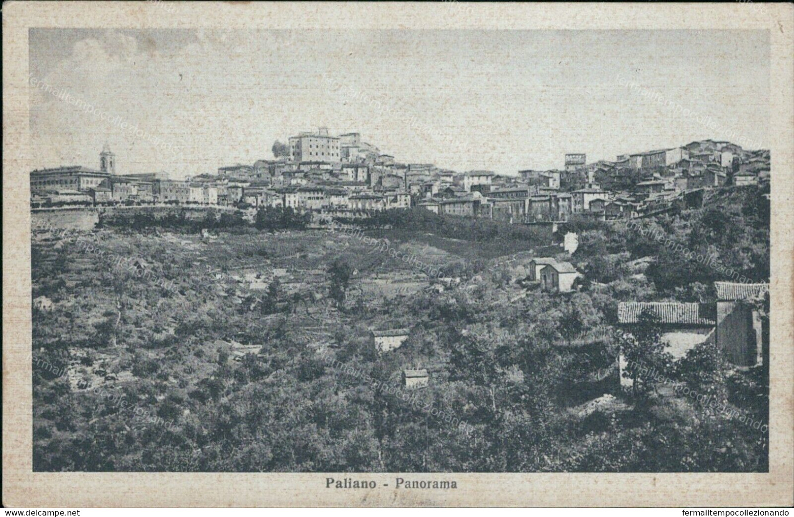 Cs457 Cartolina Paliano Panorama Provincia Di Frosinone Lazio - Frosinone