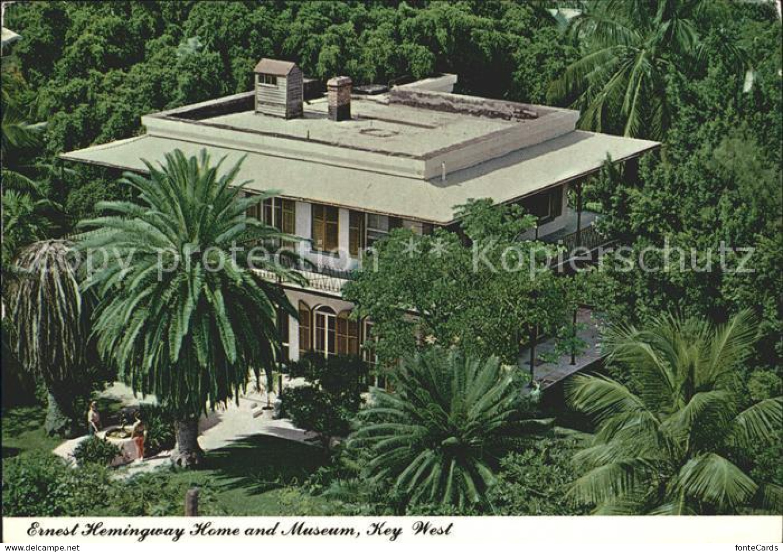 72050342 Key_West Ernest Hemingway Home And Museum - Other & Unclassified