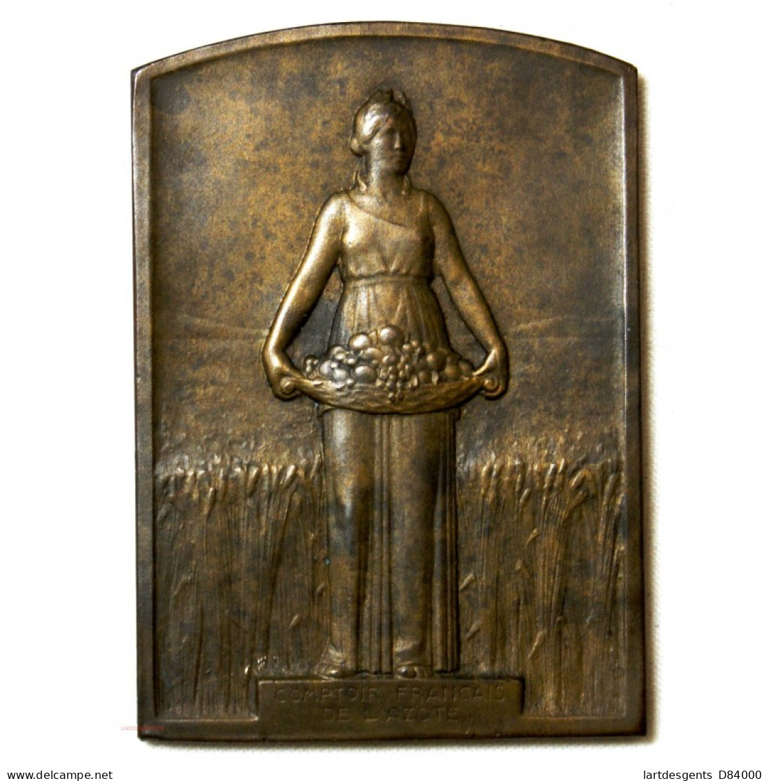 Médaille Plaque Bronze, Comptoir De L' Azote Attribué - Professionals / Firms