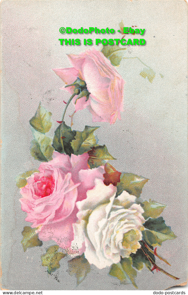 R343340 Flowers. Series No. 69. B. B. London. 1907. Greeting Card - Other & Unclassified