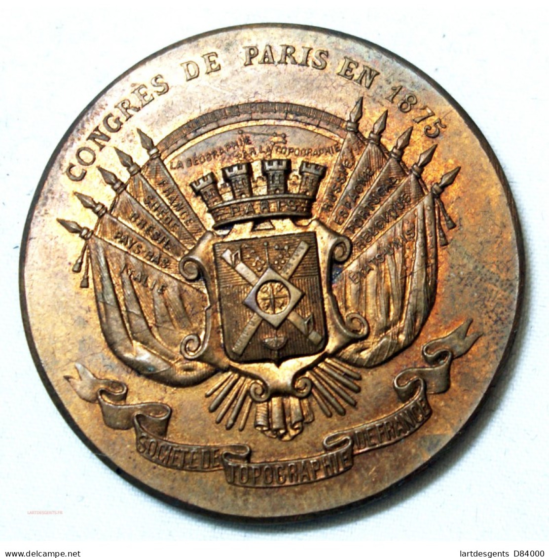 Médaille Congrès De Paris 1875, Topographie De France Bronze 35.4grs - Professionnels / De Société