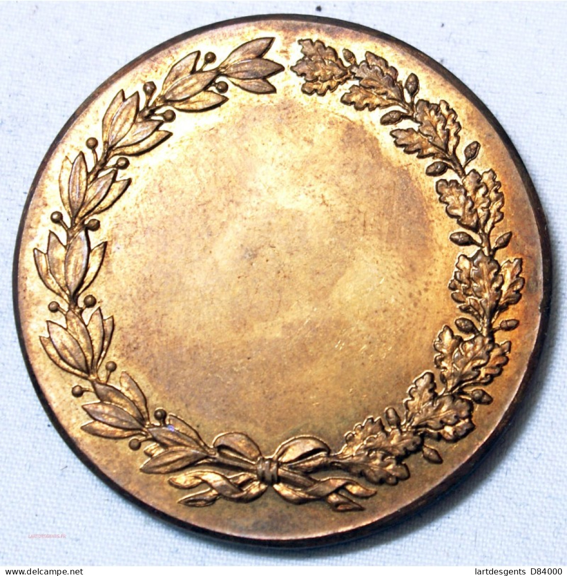 Médaille Congrès De Paris 1875, Topographie De France Bronze 35.4grs - Professionnels / De Société