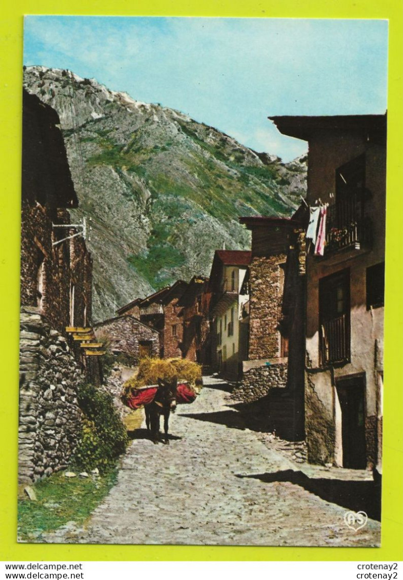 ANDORRE Valls D'Andorra Canillo N°109 Vista Parcial Vieille Rue Pittoresque APA ANDORRA  Ane VOIR DOS En 1981 - Andorra