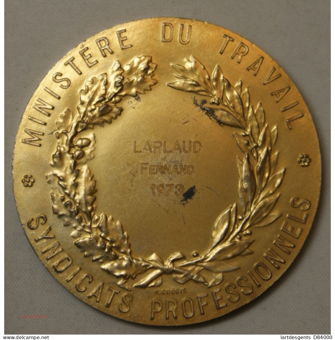 Médaille Ministère Du Travail Décernée En 1973 Argent Doré - Professionals/Firms