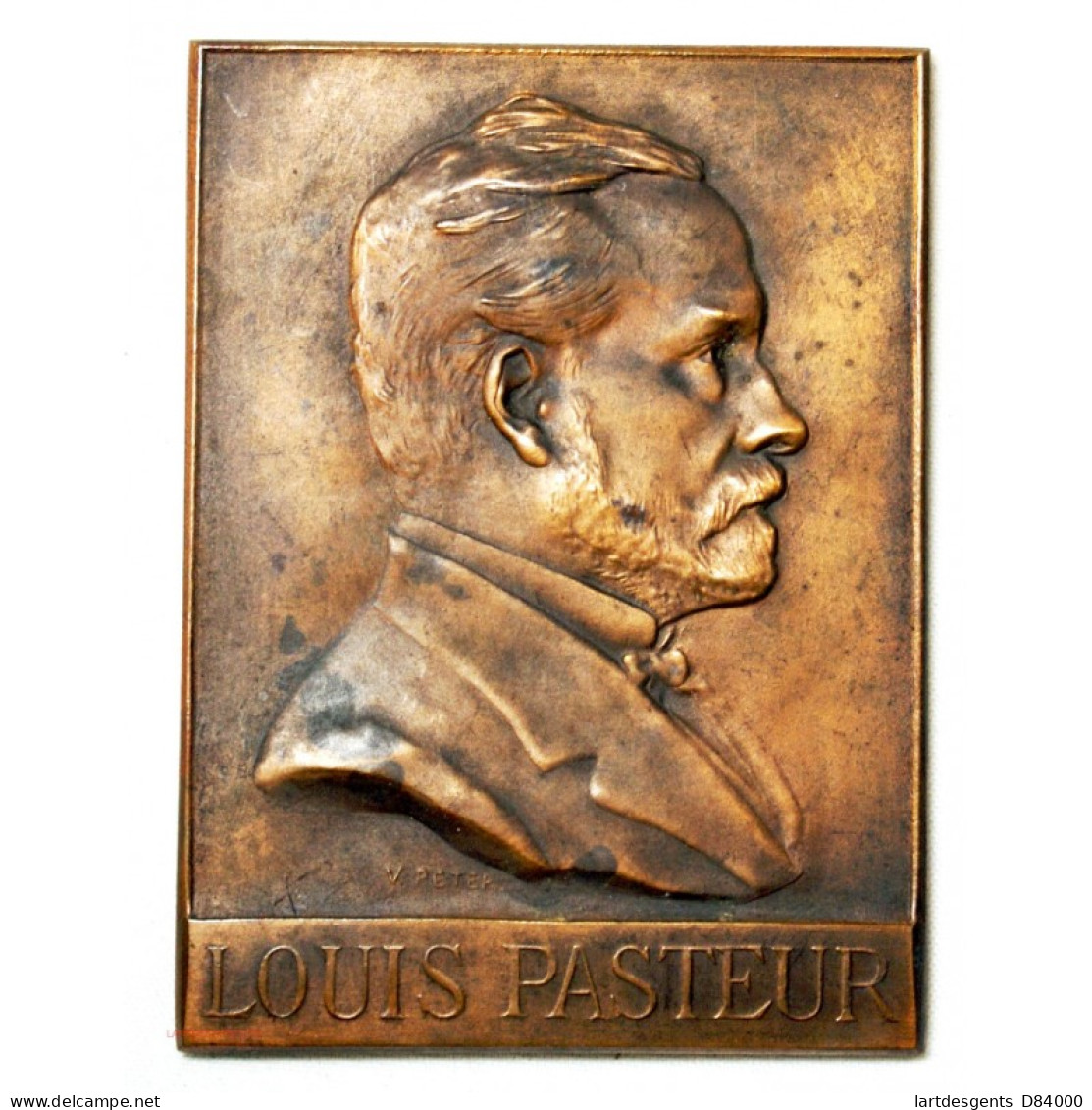 Médaille Plaque Louis Pasteur Exposition Strasbourg 1923 - Firma's