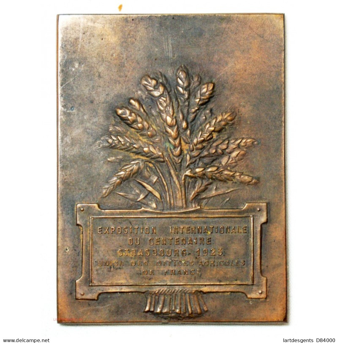 Médaille Plaque Louis Pasteur Exposition Strasbourg 1923 - Profesionales/De Sociedad