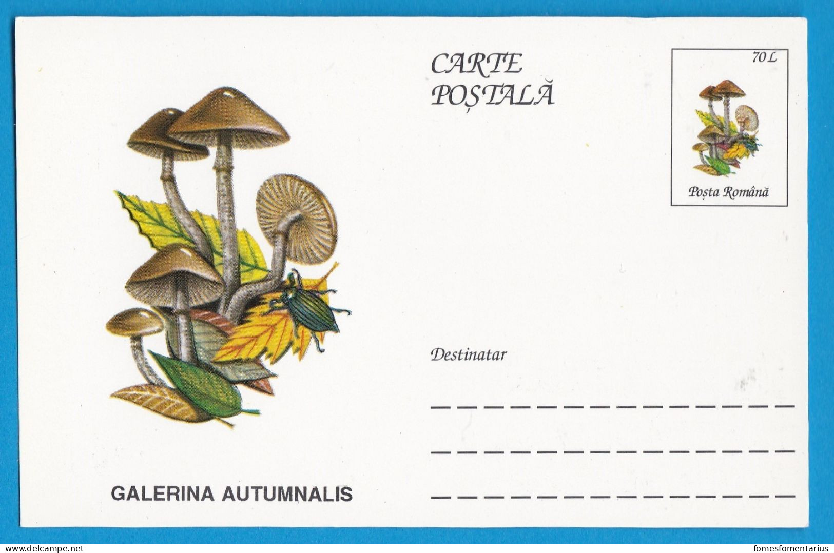 Entier Postal Neuf Roumain édition Luxe Glacé Brillant N° 089 Série 891/1000 Champignon  Mushroom Champignons Pilze - Pilze