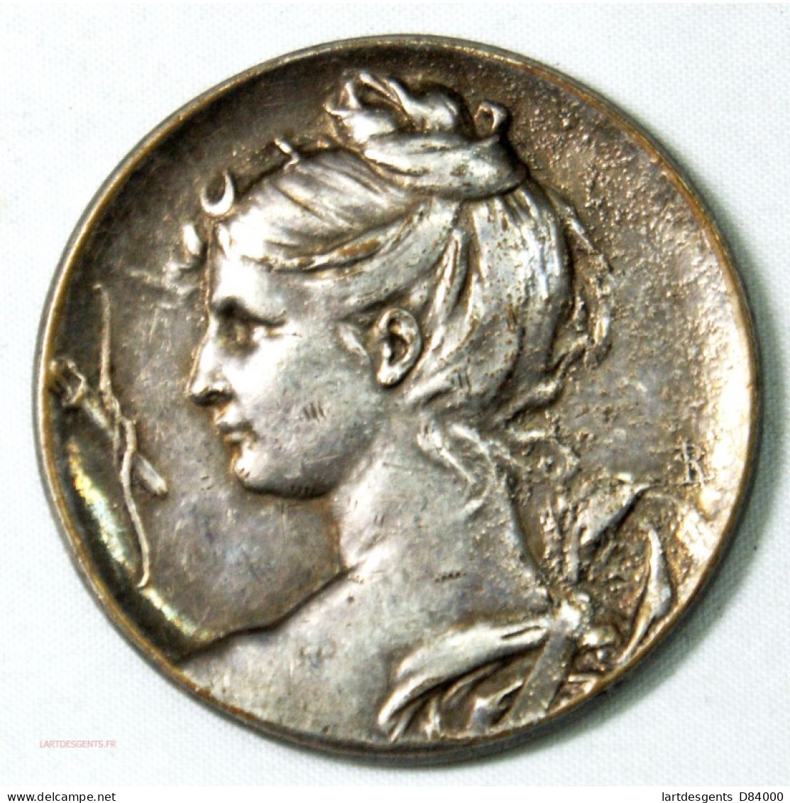 Médaille Art Déco: Femme, Enfant Grappe De Raisin Par R. - Firma's