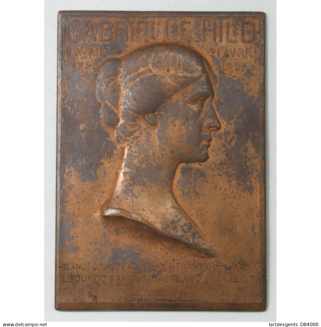 MEDAILLE Plaque  Gabrielle HILD (1881-1921)OCCITAN Chanoine J. BESSON Majoral Du Felibrige - Professionals/Firms