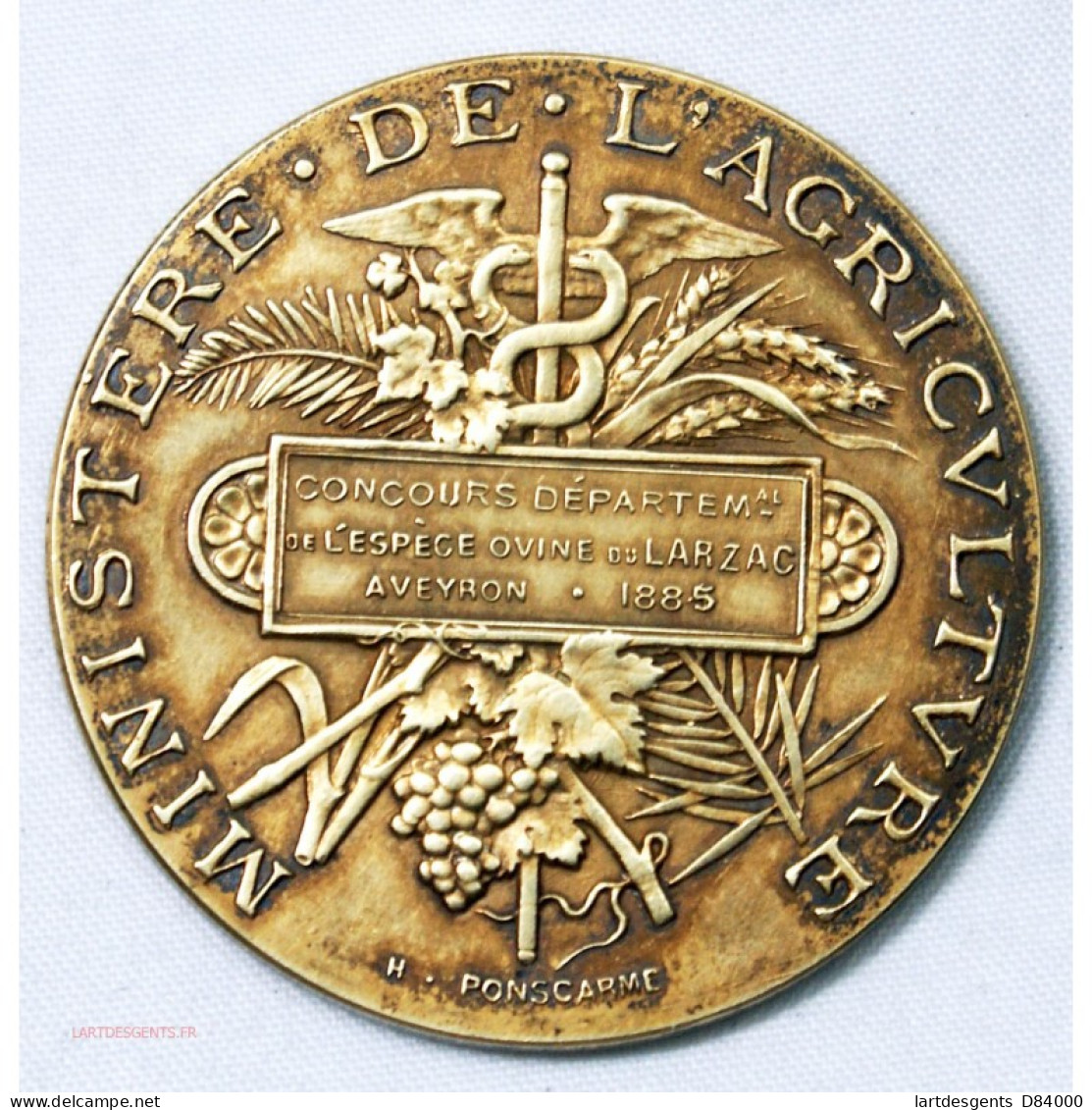 Médaille Argent AGRICULTURE Du LARZAC 1885 Par H. PONSCARME - Professionals/Firms