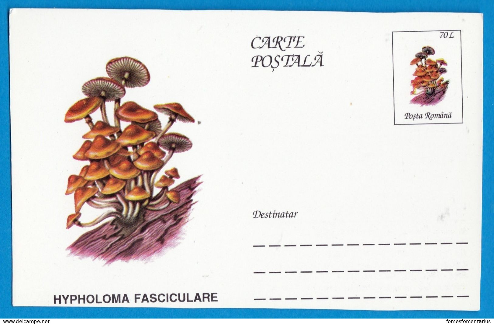 Entier Postal Neuf Roumain édition Luxe Glacé Brillant N° 091 Série 891/1000 Champignon  Mushroom Champignons Pilze - Paddestoelen