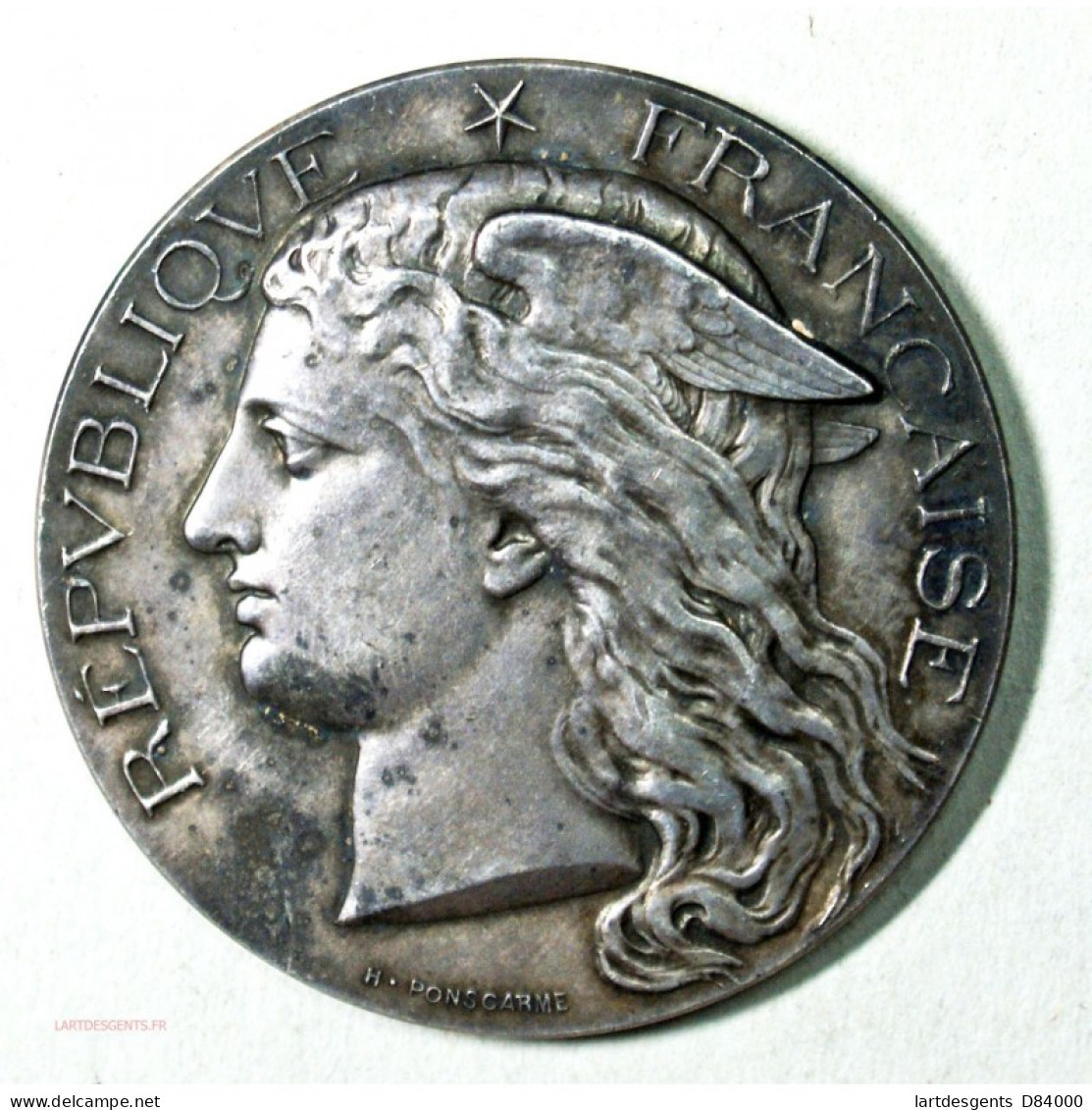 Médaille Argent Ministère De L' Agiculture HIPPIQUE TOULOUSE 1895 Par H. POINSCARME - Professionals/Firms