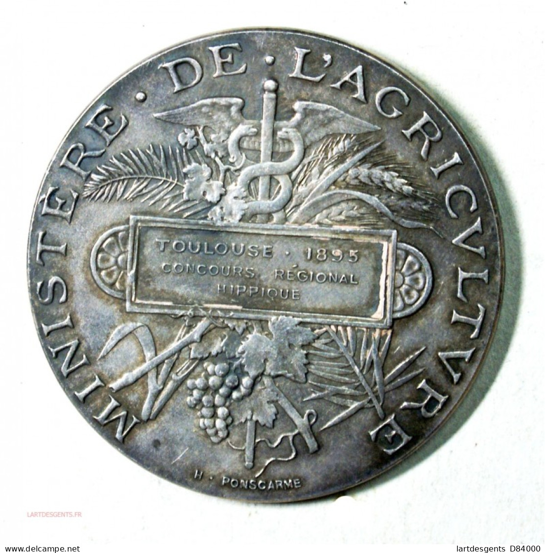 Médaille Argent Ministère De L' Agiculture HIPPIQUE TOULOUSE 1895 Par H. POINSCARME - Professionals/Firms