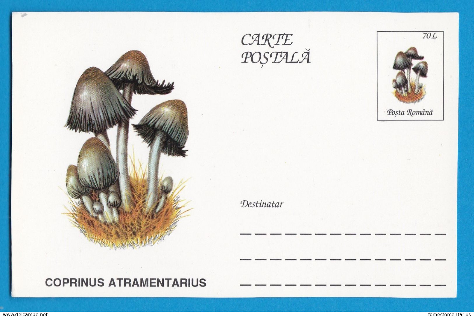 Entier Postal Neuf Roumain édition Luxe Glacé Brillant N° 088 Série 891/1000 Champignon  Mushroom Champignons Pilze - Funghi