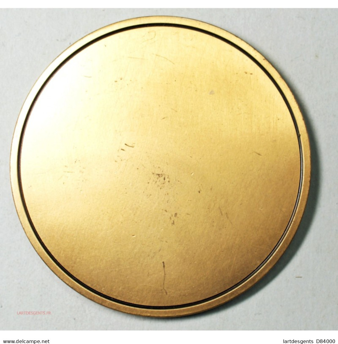 Magnifique Médaille Uniface Avec Nef De STRASBOURG, 220grs, Lartdesgents - Professionali/Di Società