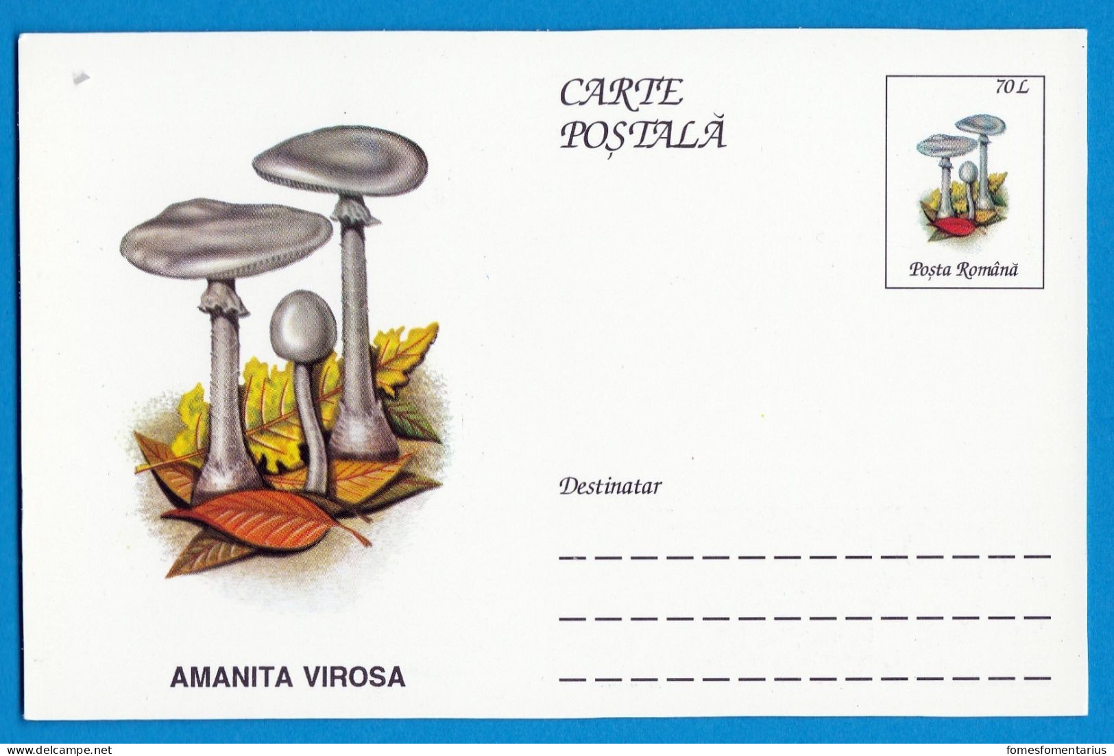 Entier Postal Neuf Roumain édition Luxe Glacé Brillant N° 079 Série 891/1000 Champignon  Mushroom Champignons Pilze - Funghi