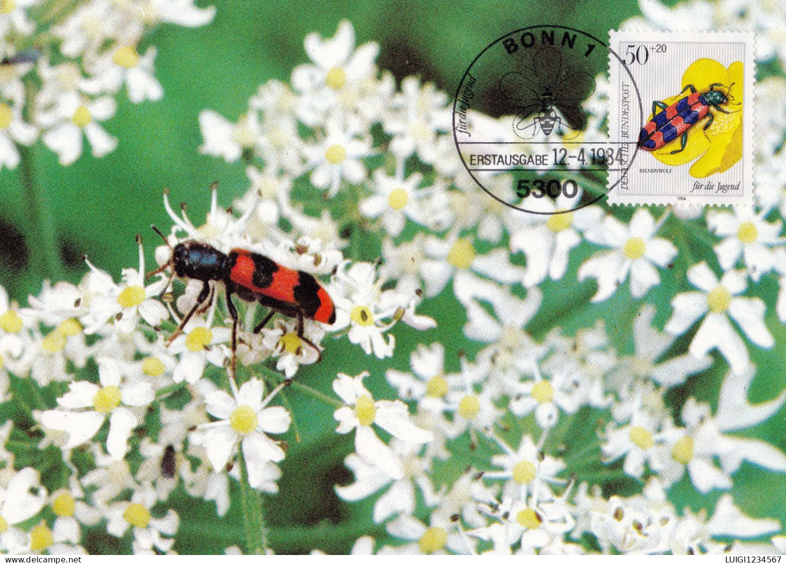 Germania Cartolina Maximum Con Tematica Api - Bienen