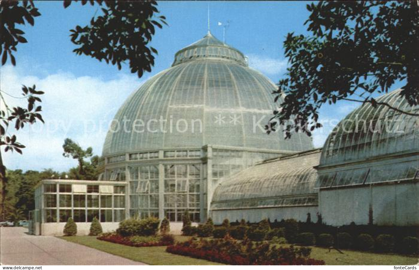 71951057 Detroit_Michigan Horticultural Building Belle Isle Park - Altri & Non Classificati